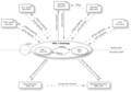 Thumbnail for version as of 11:59, 9 February 2009
