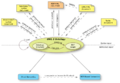 Thumbnail for version as of 08:35, 15 April 2009