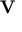 \mathbf{V}
