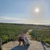 Italo de Souza's profile picture