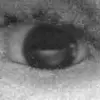 Angelo Gladding's profile picture